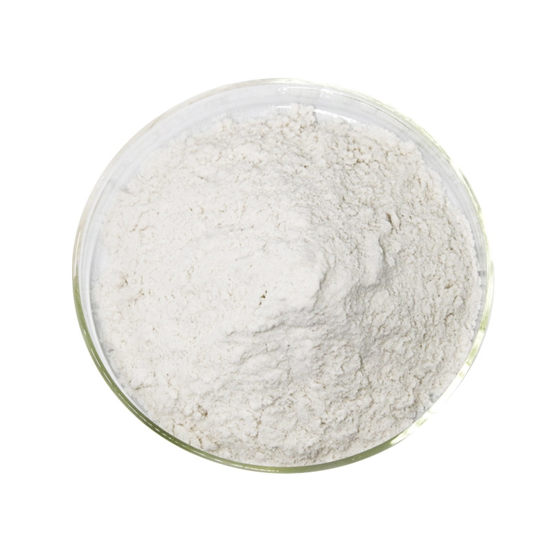 O1CN01G8WsjE1i40ok1UV1B_!!2453004358-0-cib